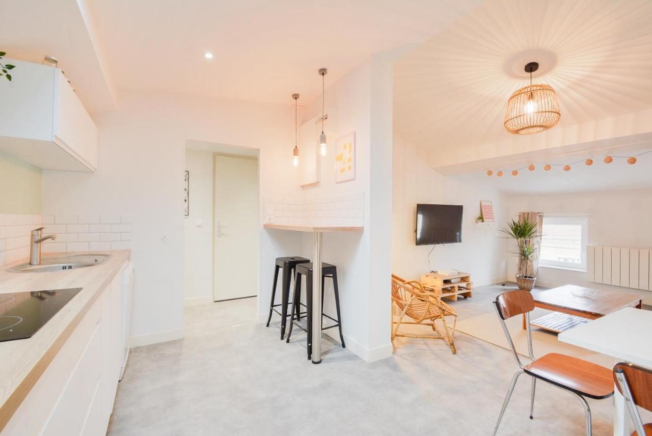 Le Toit De Poincare Apartment Nancy Bagian luar foto